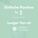 Mariendistel Capsules – Simple routine with 90 capsules for 3 months of well-being.