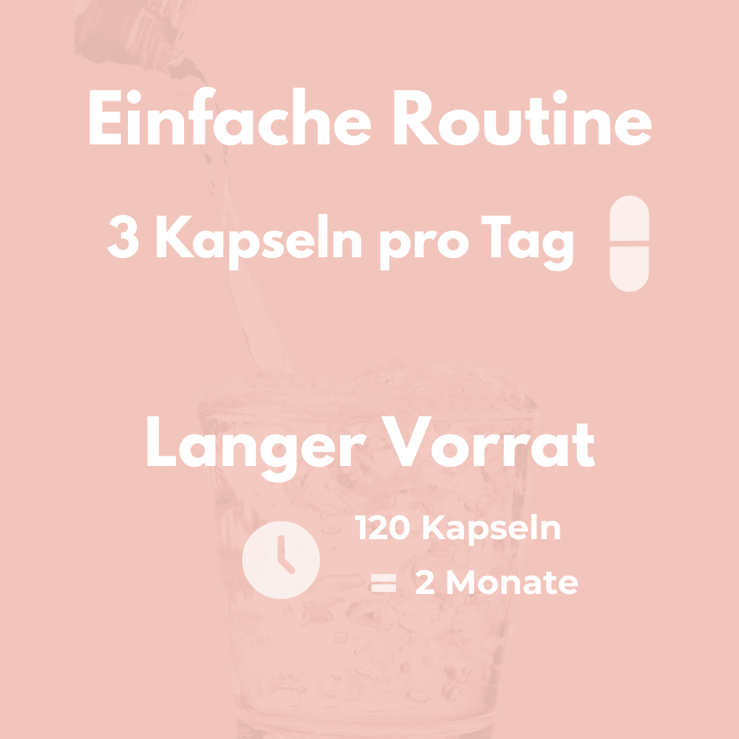 Einfaches Routine für Magnesium Komplex: 3 Kapseln täglich für 2 Monate, 120 Kapseln im Vorrat.