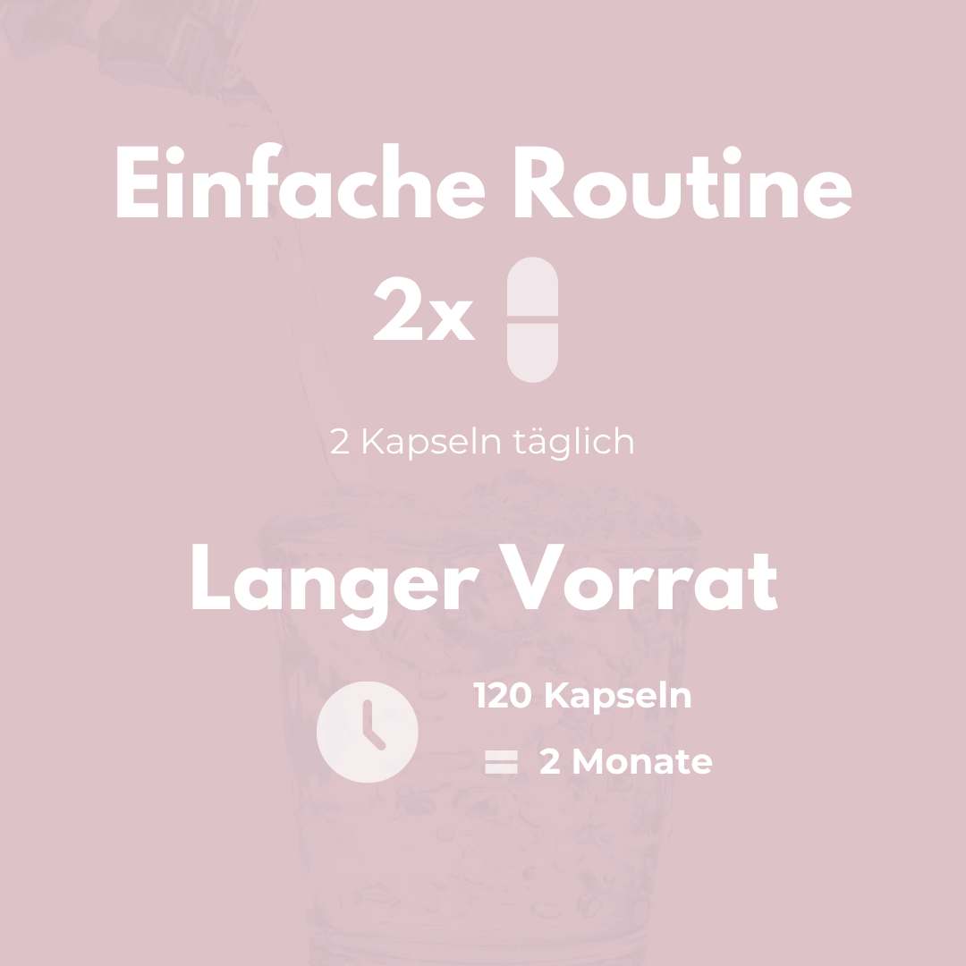 Meno Vital Kapseln für Wechseljahre einfache Routine 2x täglich langer Vorrat 120 Kapseln