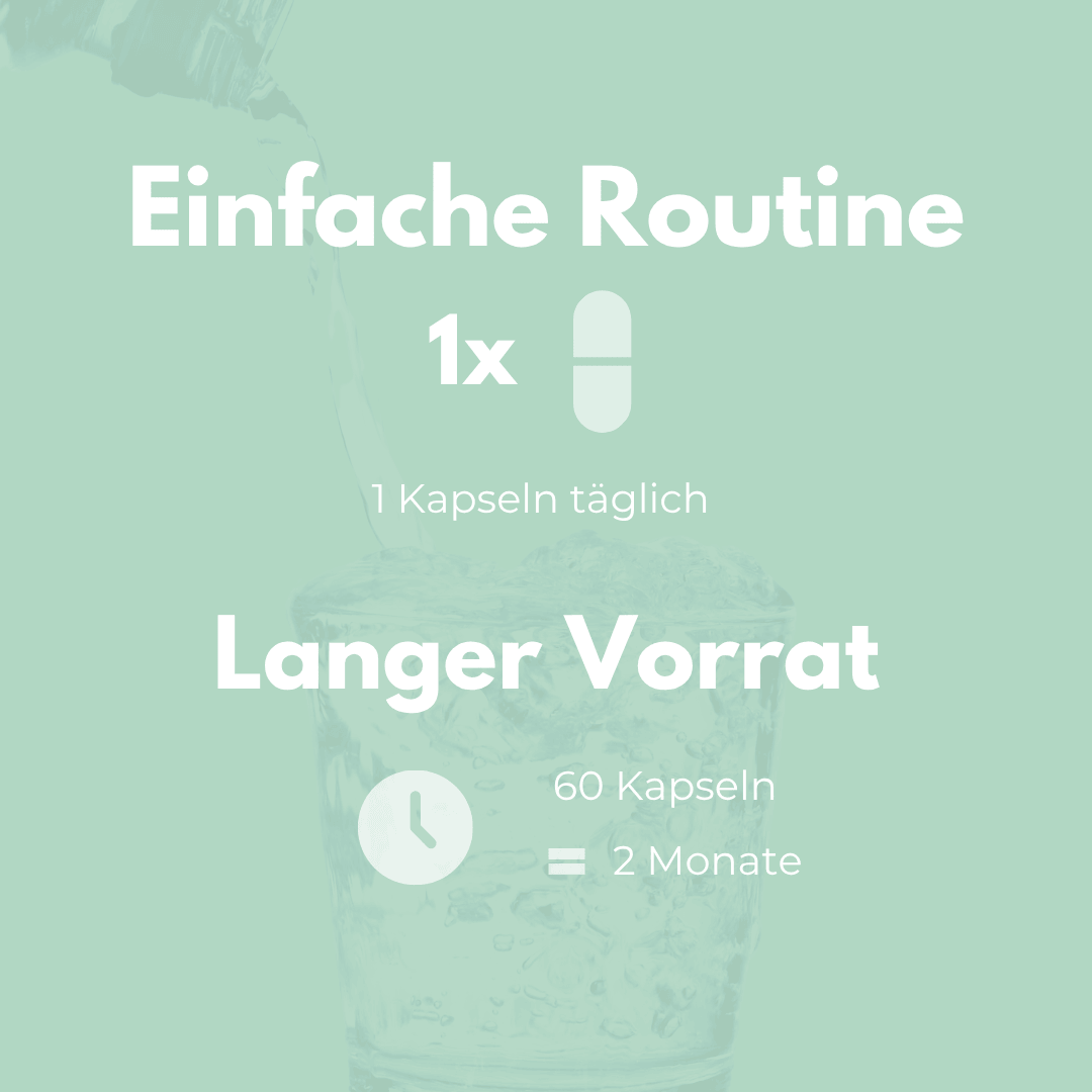 Salbei Kapseln einfache Routine langer Vorrat 60 Kapseln für 2 Monate täglich 1 Kapsel