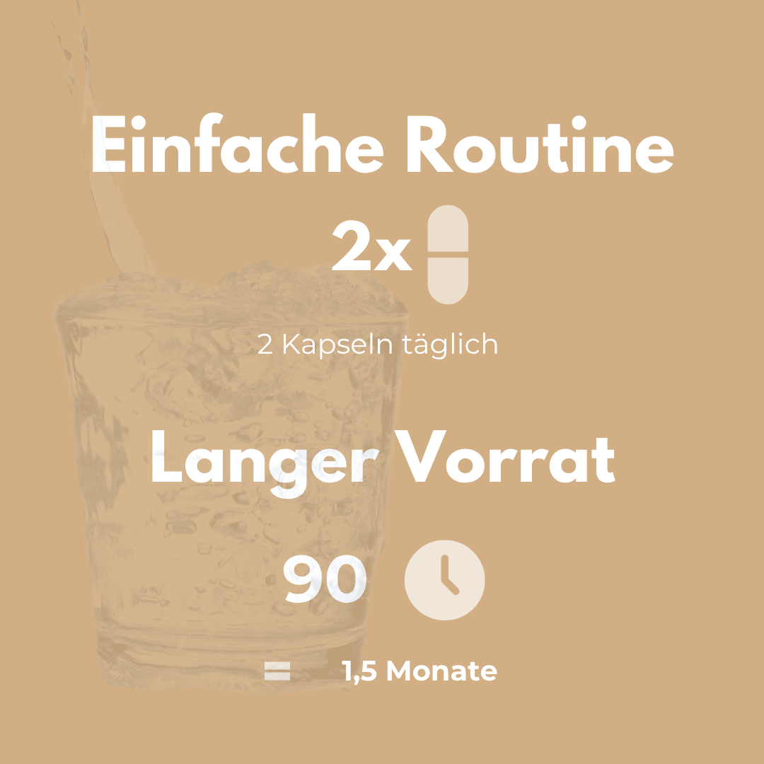 Bio Vitalpilze Komplex Kapseln – Einfache Routine mit 2 Kapseln täglich für 1,5 Monate.