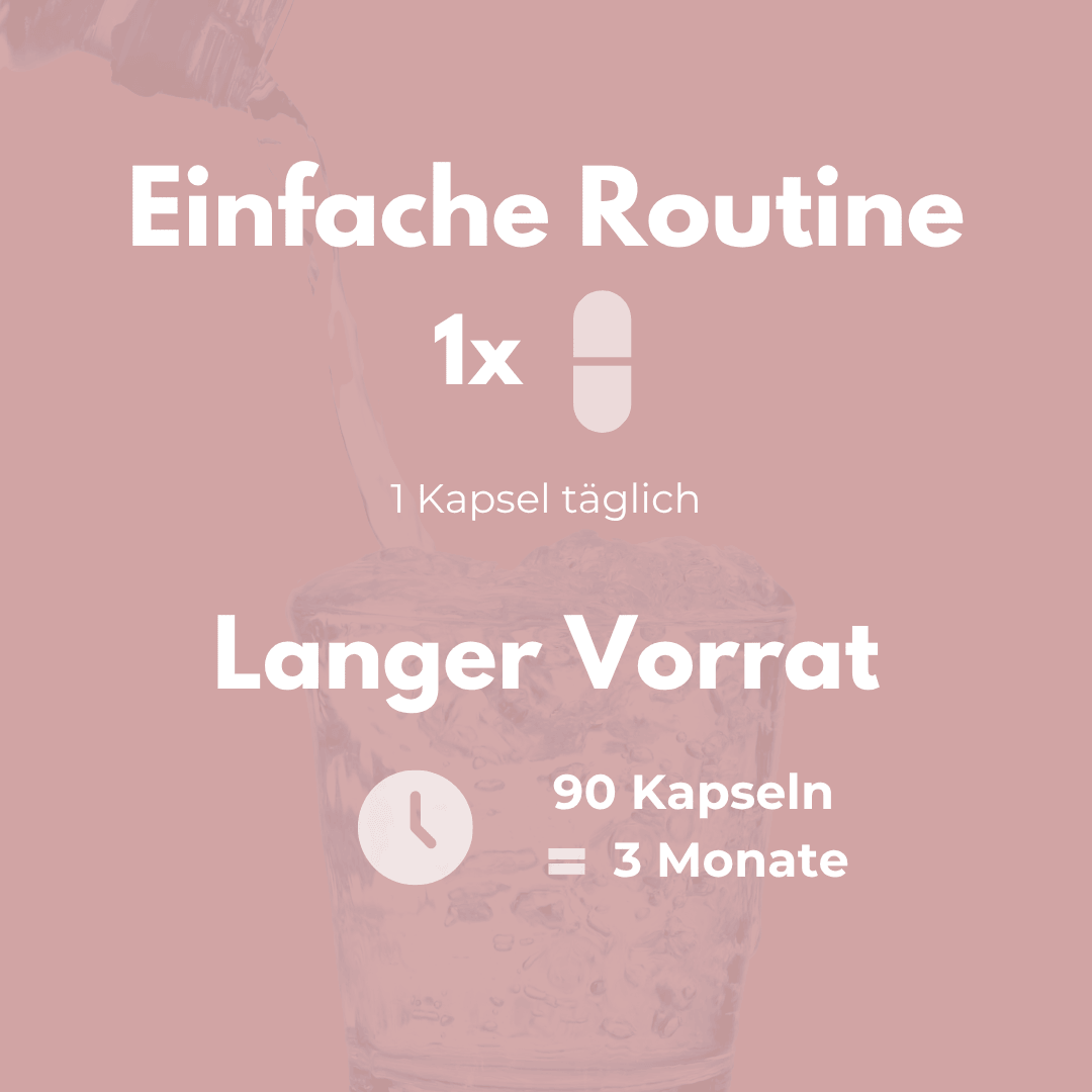 Vitamin B Komplex Aktiv – 1 Kapsel täglich für 3 Monate, einfache Routine und langer Vorrat.