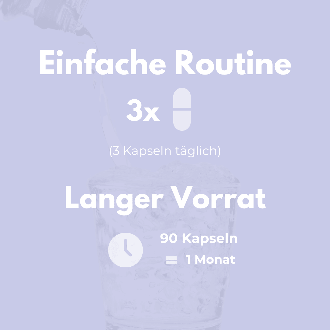Immun Komplex Kapseln einfache Routine 3x täglich langer Vorrat 90 Kapseln 1 Monat