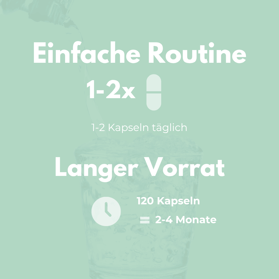 Mariendistel Komplex Kapseln einfache Routine für 2-4 Monate mit 120 Kapseln.