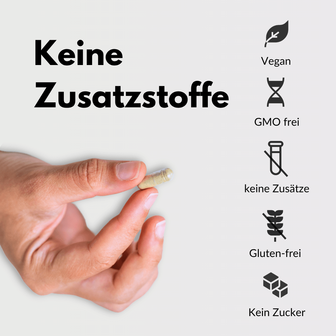 Eisen Vegan – Pflanzliches Eisen ohne Zusatzstoffe, glutenfrei, vegan und ohne Zucker, mit Curryblatt-Extrakt.