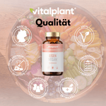 Iron Vegan by Vitalplant in a bowl with vegetables, 100% vegan, quality product made in Germany.