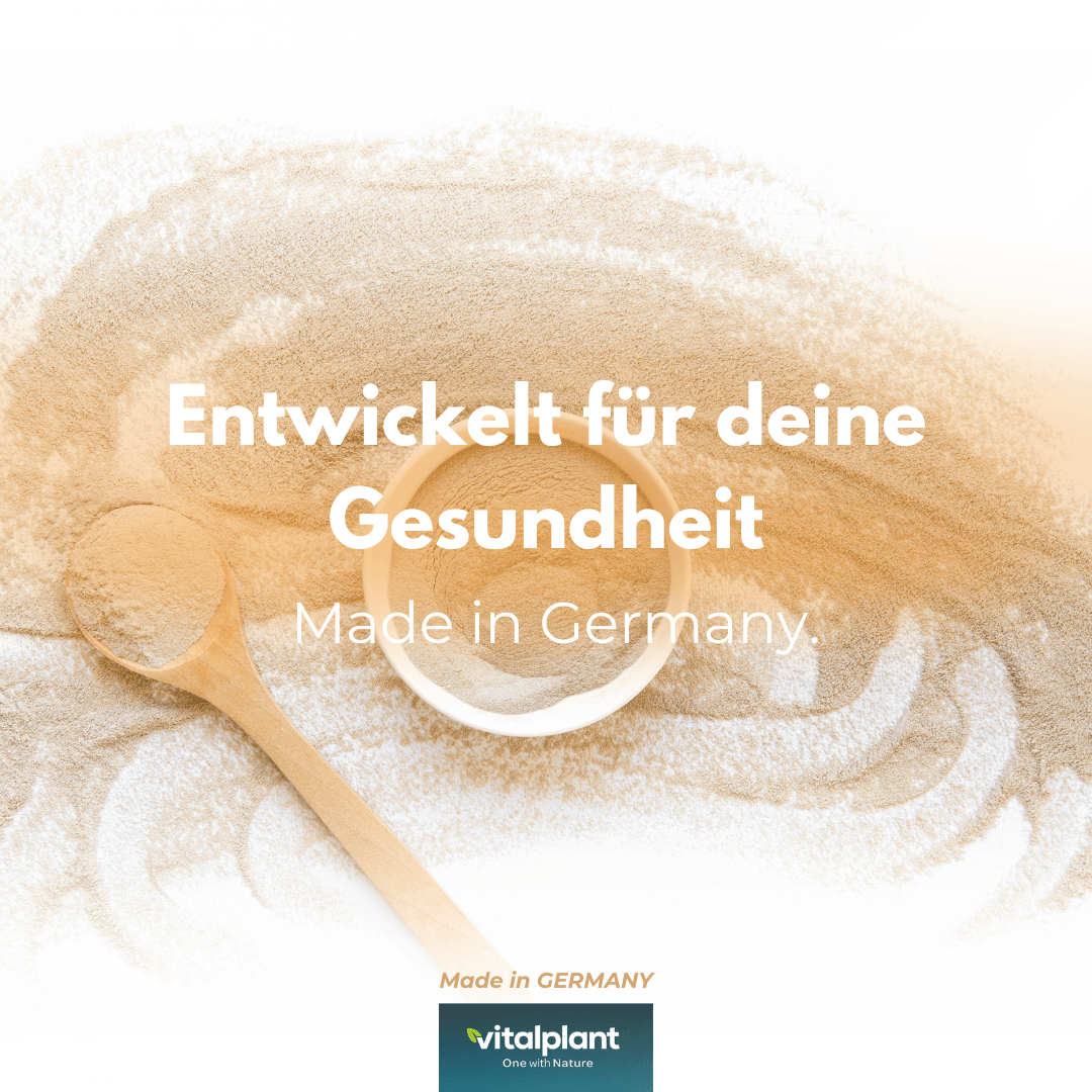 Panax Ginseng Kapseln, entwickelt für deine Gesundheit, aus hochwertigem Ginseng-Wurzelextrakt, Made in Germany.