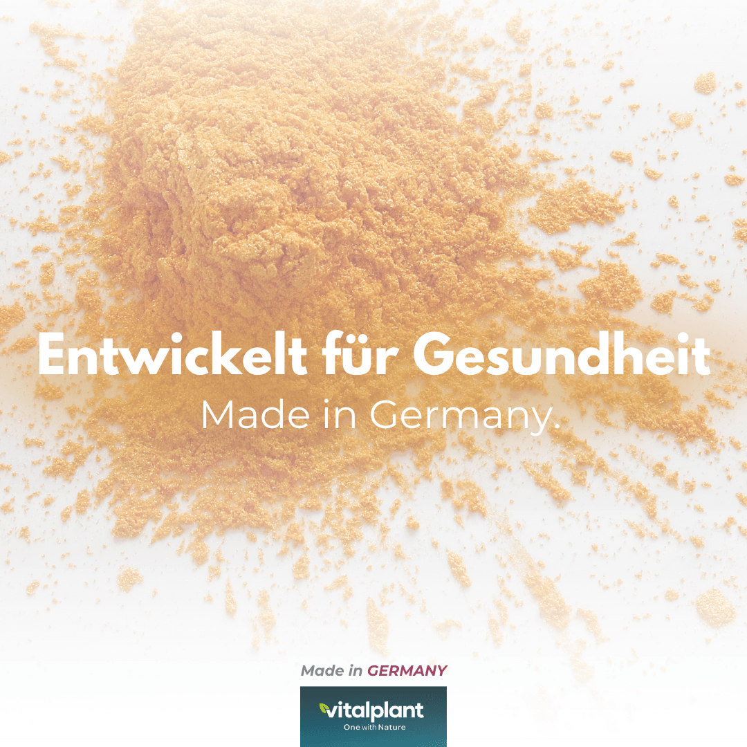 Bitter Komplex – Pulver aus traditionellen Heilkräutern, entwickelt für Gesundheit und Wohlbefinden.