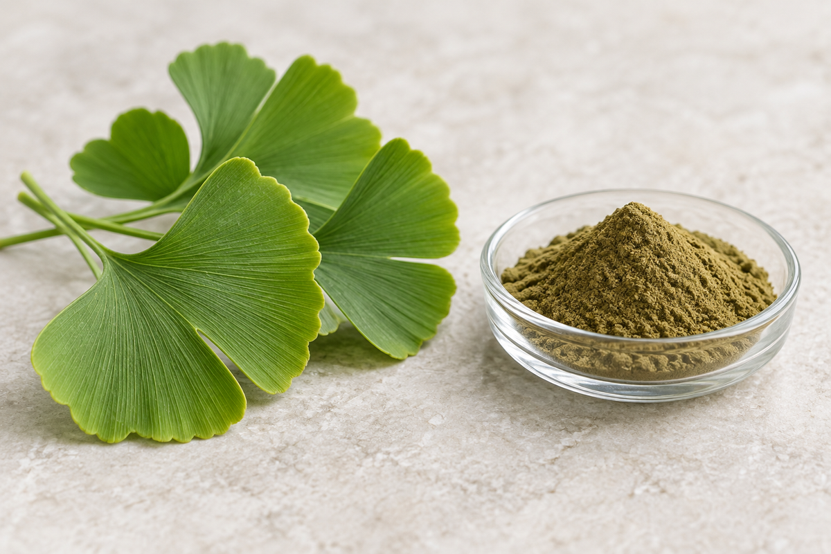 Gehirn Komplex Kapseln - Ginkgo 45:1, 24 % Flavonglykoside