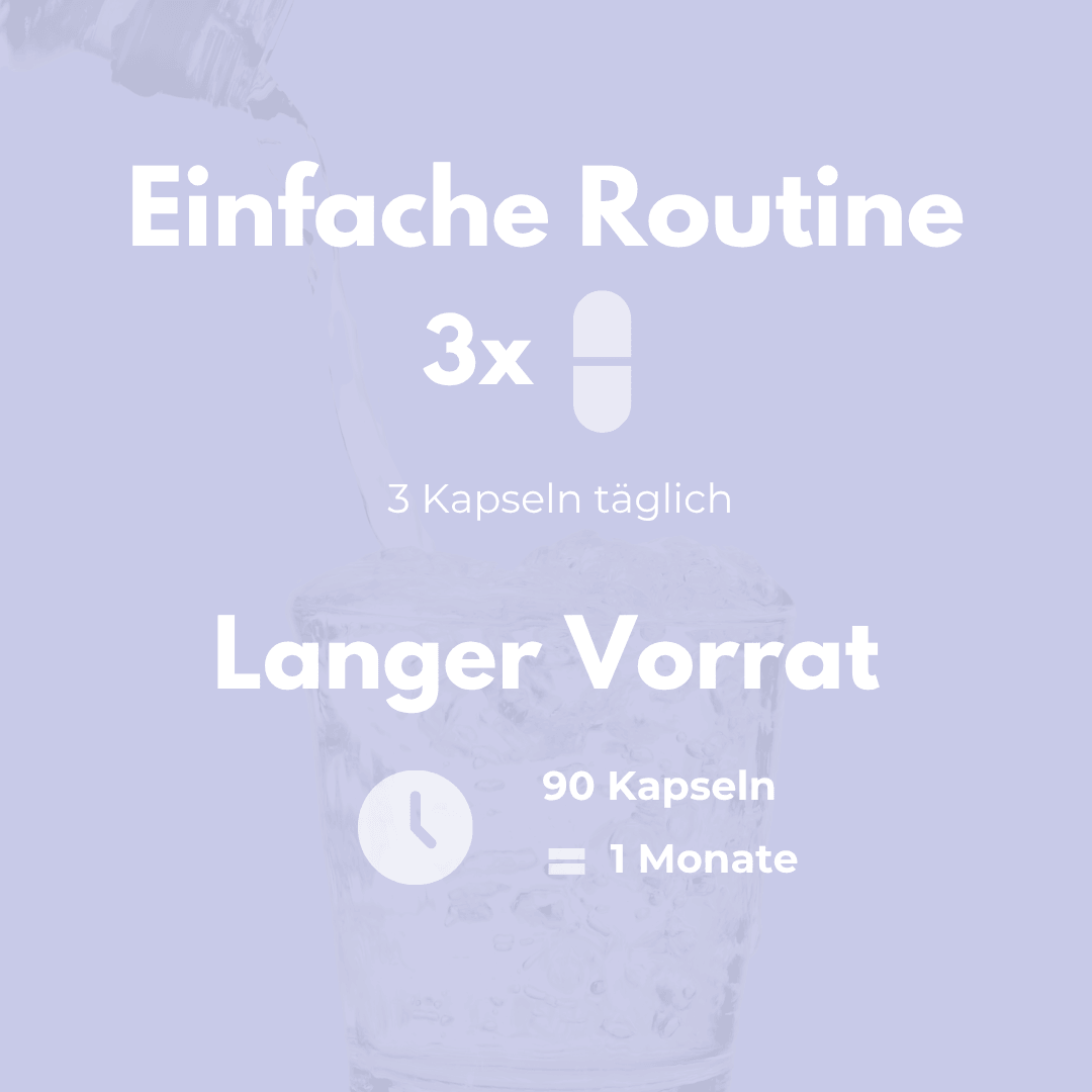 Gehirn Komplex - einfache Routine mit 3 Kapseln täglich für 1 Monat Vorrat von 90 Kapseln.