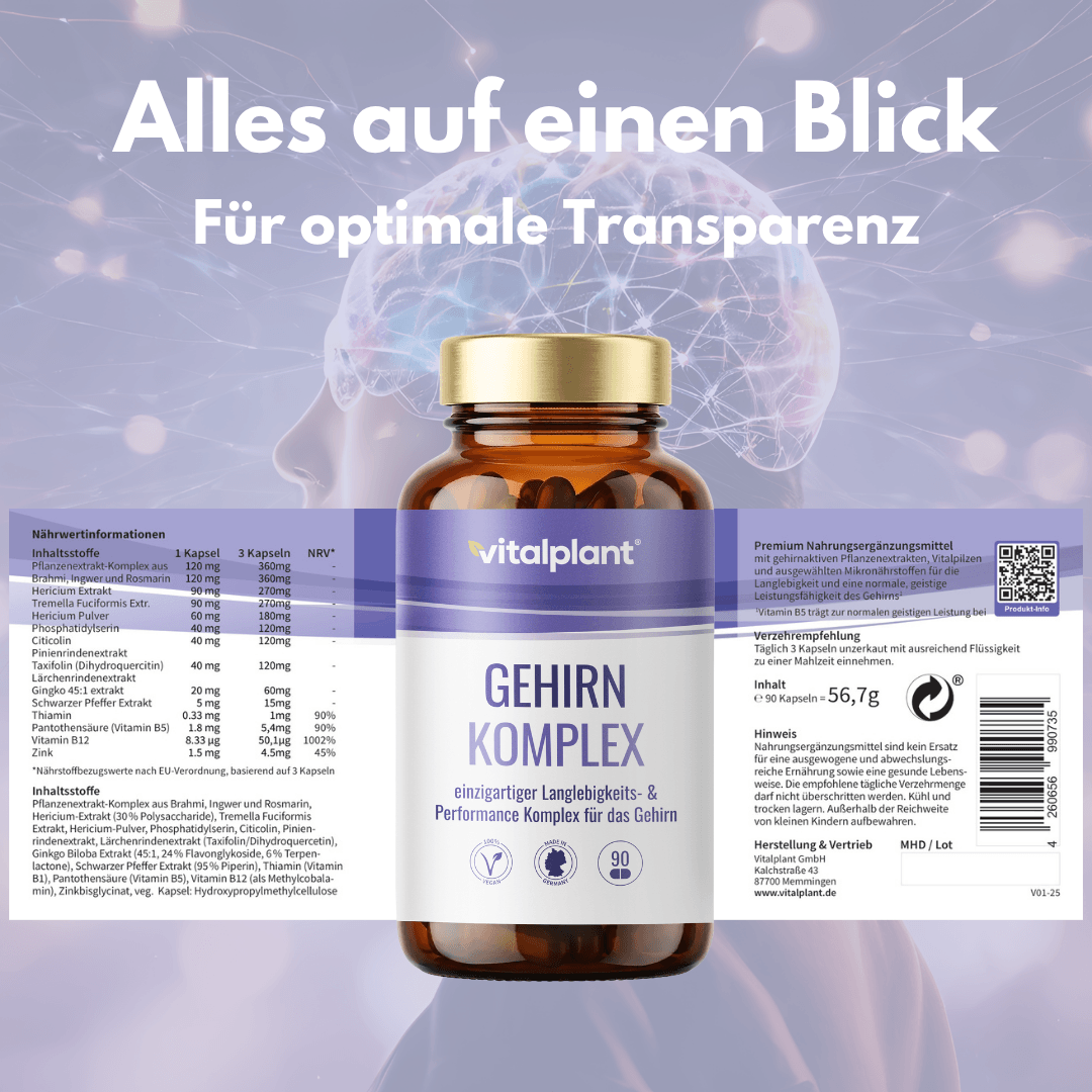 Gehirn Komplex von Vitalplant – Nahrungsergänzung für mentale Klarheit und Fokus mit Pflanzenextrakten.
