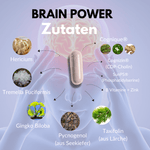 Gehirn Komplex Zutaten wie Hericium, Ginkgo Biloba und B Vitamine für mentale Klarheit.