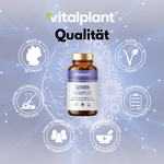 vitalplant Gehirn Komplex in hochwertiger Verpackung mit Qualitätssymbolen und Informationen zu Inhaltsstoffen.