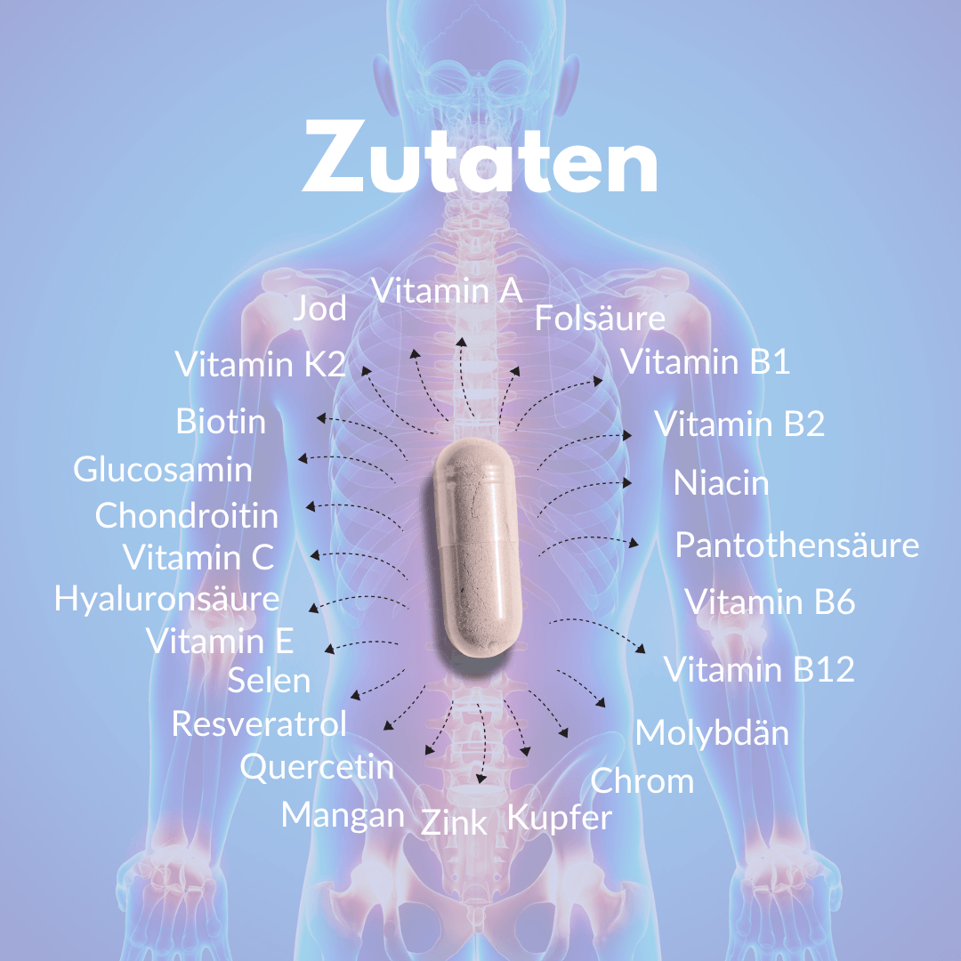 Joint Complex: Overview of ingredients with micronutrients for optimal joint health.