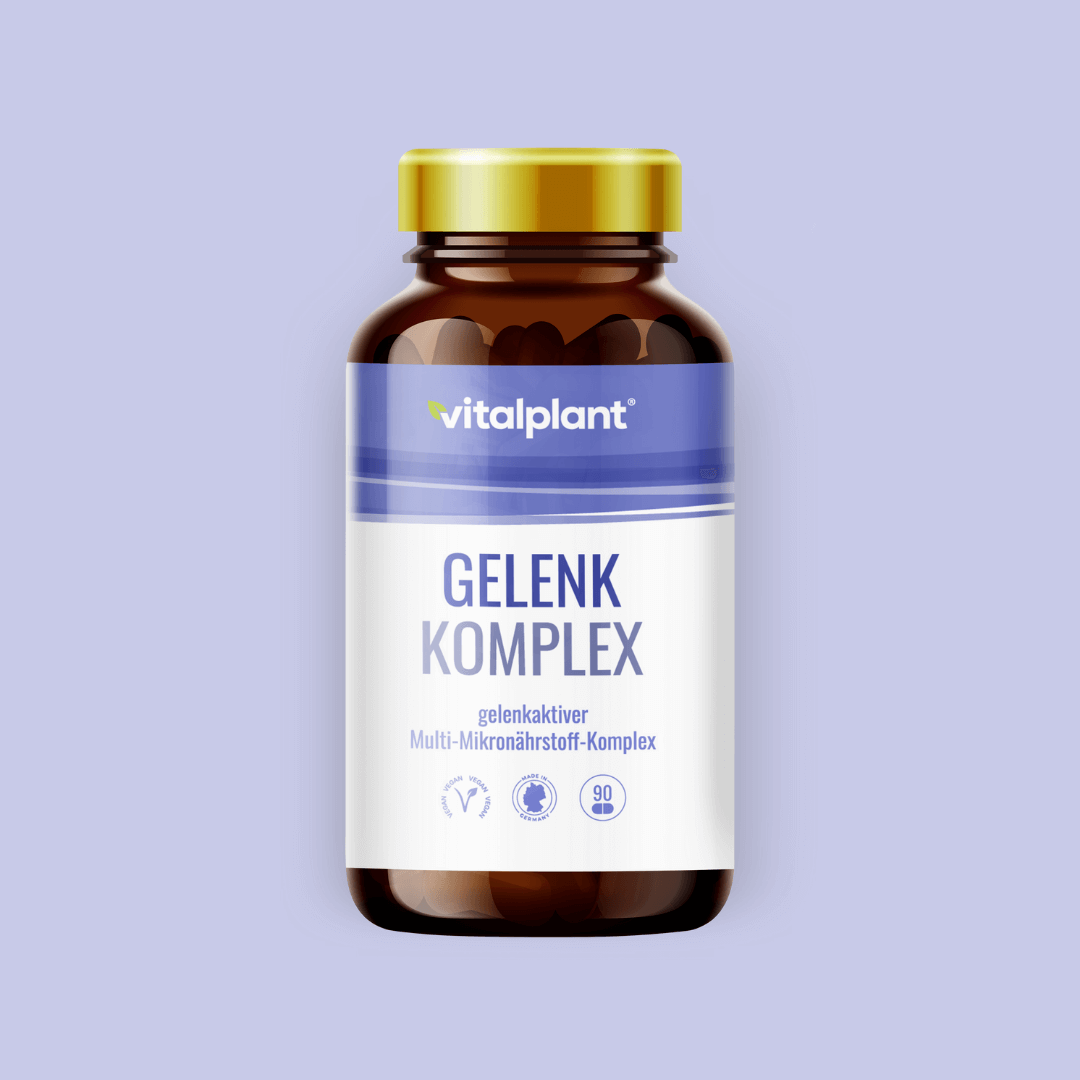 Gelenk Komplex Kapseln von vitalplant, gelenkaktiver Multi-Mikronährstoff-Komplex in 90 Kapseln.