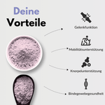 Gelenk Komplex Vorteile: Gelenkfunktion, Mobilitätsunterstützung, Knorpelunterstützung, Bindegewebegesundheit.