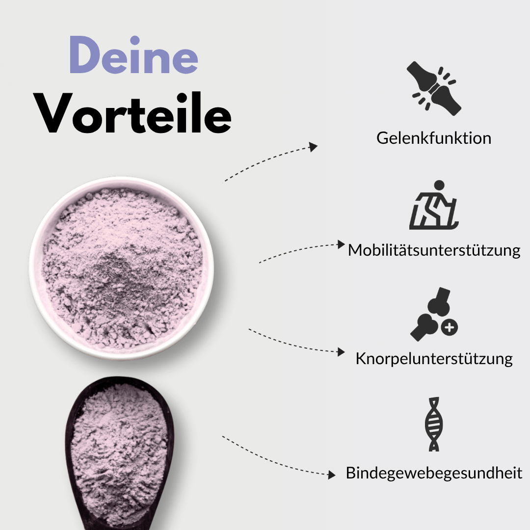 Gelenk Komplex Vorteile: Gelenkfunktion, Mobilitätsunterstützung, Knorpelunterstützung, Bindegewebegesundheit.