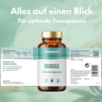 Guggul Extrakt Kapseln von Vitalplant mit 5% Guggulsteronen in praktischer Kapselform für verschiedene Anwendungen.