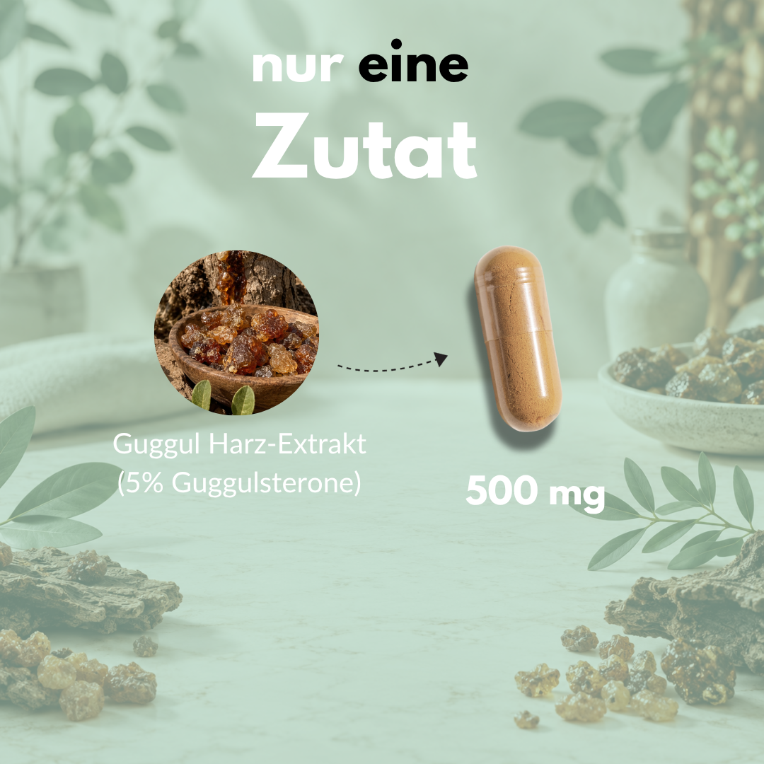 Guggul Extrakt Kapseln