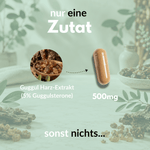 Guggul Extrakt Kapseln mit 500mg Guggulharz-Extrakt und 5% Guggulsteronen in praktischer Form.