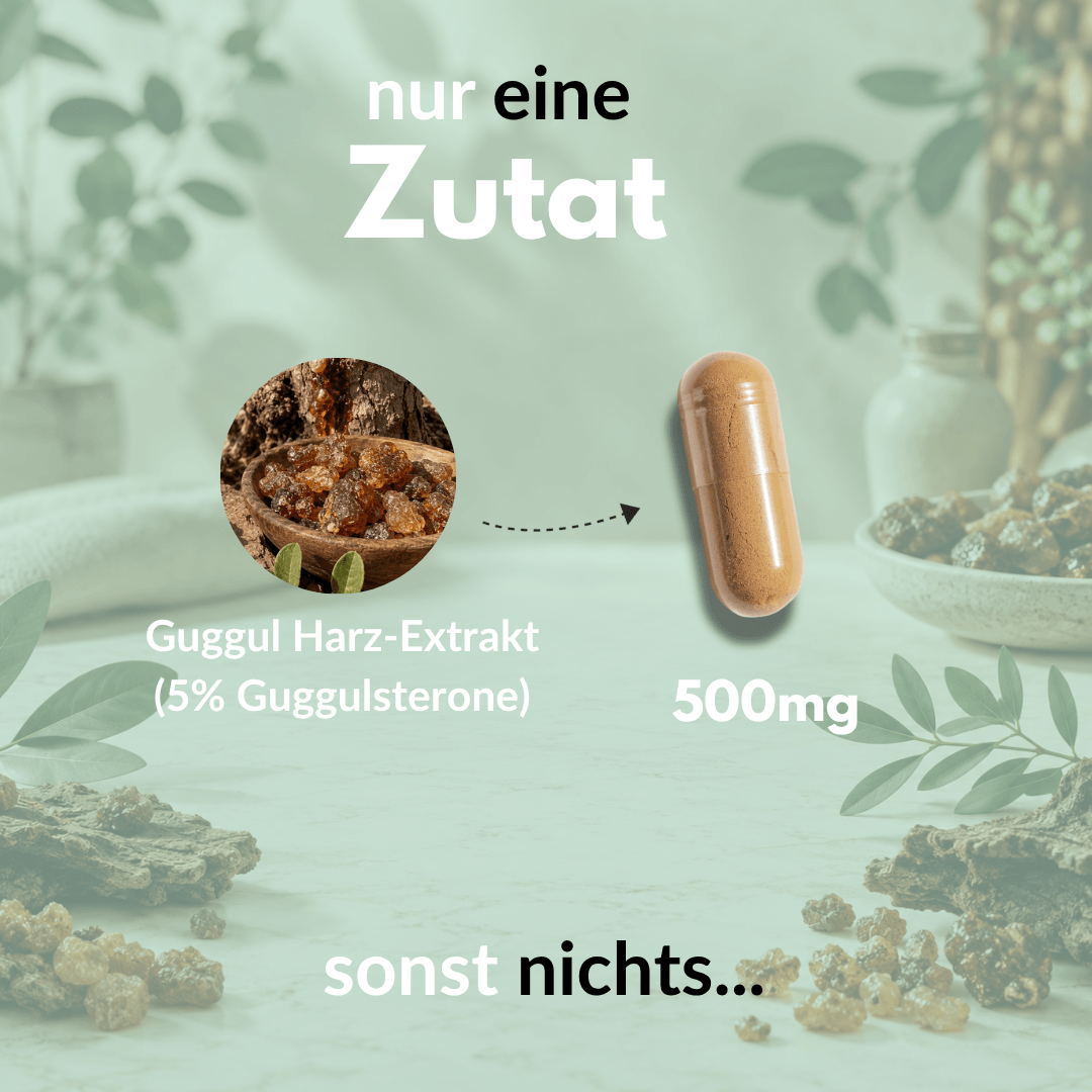 Guggul Extrakt Kapseln mit 500mg Guggulharz-Extrakt und 5% Guggulsteronen in praktischer Form.