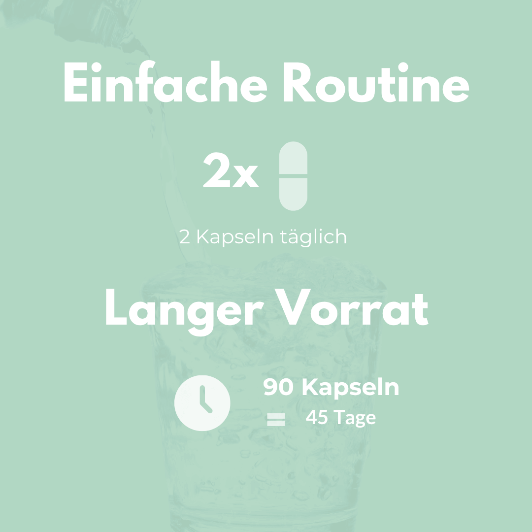 Hagebutte Kapseln tägliche Einnahme und Vorrat für 45 Tage, einfache Routine für natürliche Vitamin C Versorgung.