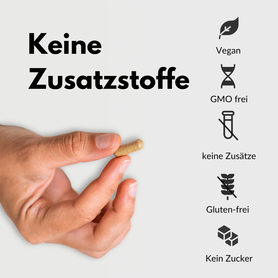 Hagebutte Kapseln ohne Zusatzstoffe, vegan, glutenfrei und zuckerfrei.