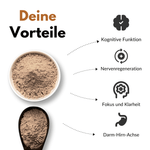 Hericium (Löwenmähne) Vorteile: Kognitive Funktion, Nervenregeneration, Fokus, Klarheit, Darm-Hirn-Achse.