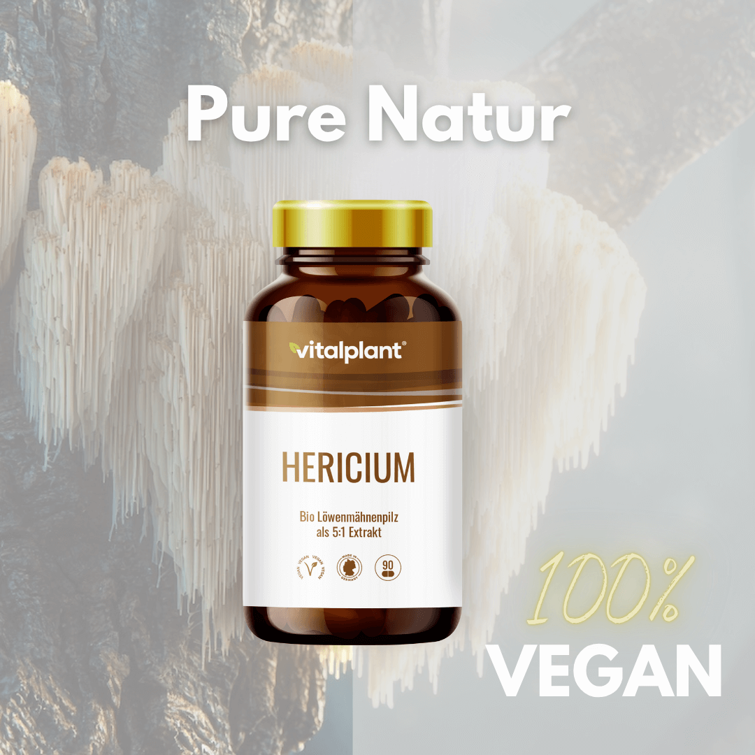 Hericium Kapseln, Bio Löwenmähnenpilz als 5:1 Extrakt, 100% vegan von Vitalplant, natürliche Unterstützung für das Wohlbefinden.
