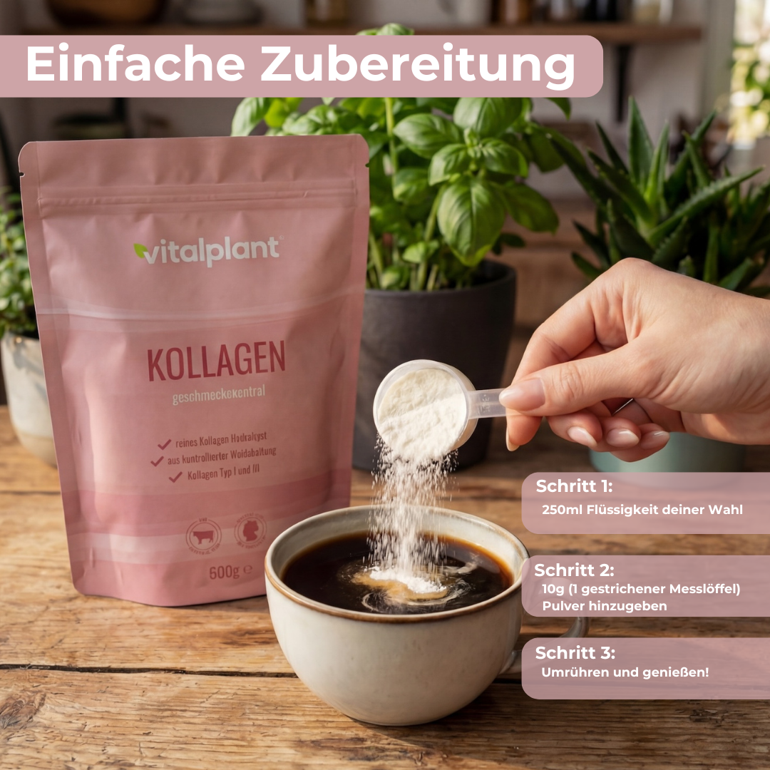 Kollagen Puder in einer Tasse, zubereitet mit Anleitung zur einfachen Nutzung und optimaler Bioverfügbarkeit.