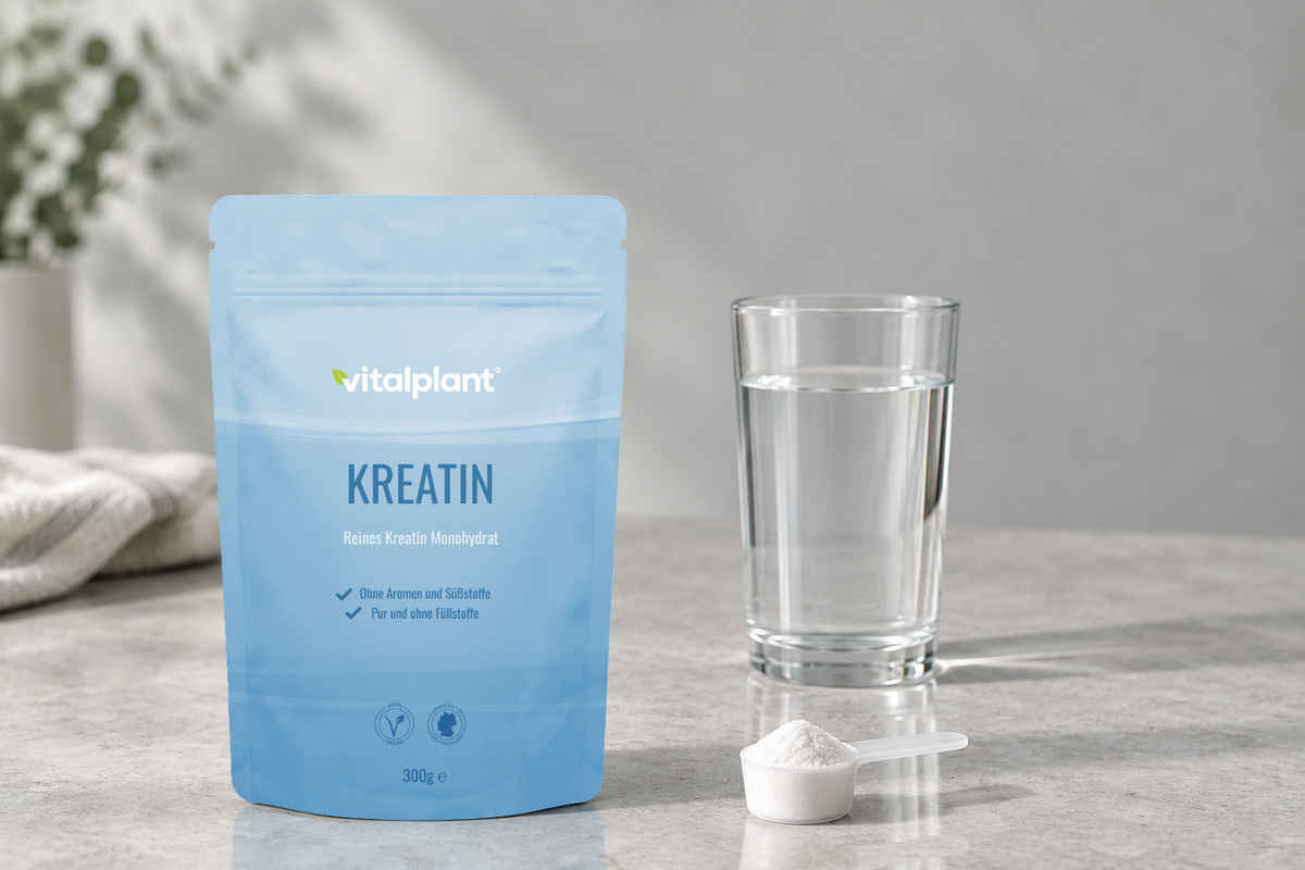 Kreatin Pulver - 5 g in 300 ml Flüssigkeit