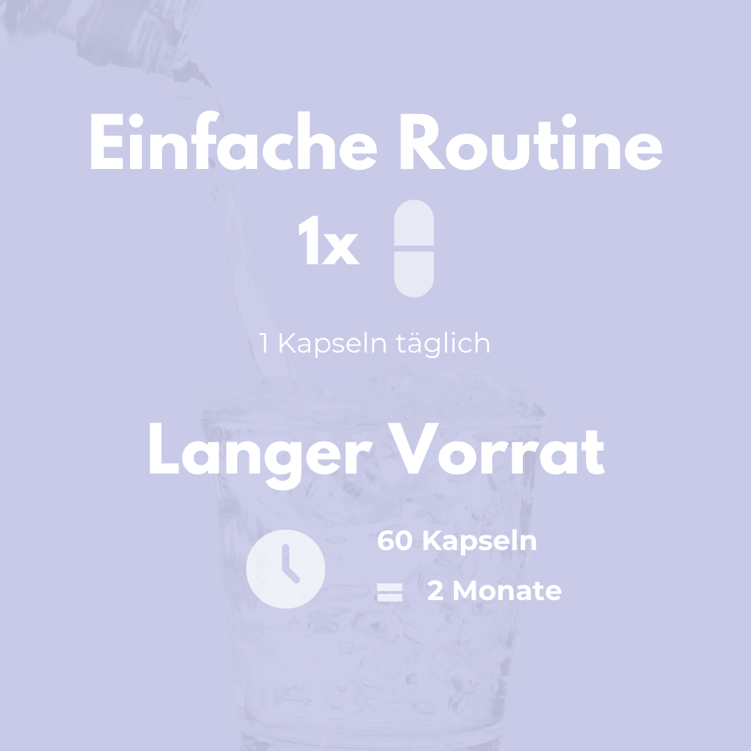 Kulturen Komplex Kapseln Anleitung für einfache Anwendung und langfristigen Vorrat