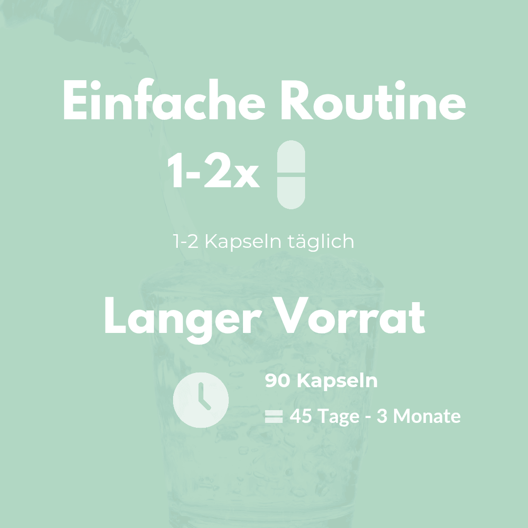 Kurkuma Kapseln: Einfache Routine mit 1-2 Kapseln täglich für 45 Tage bis 3 Monate Vorrat.