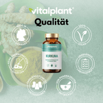 Kurkuma Kapseln von Vitalplant mit Schwarzpfeffer, vegan, made in Germany, Qualitätssiegel
