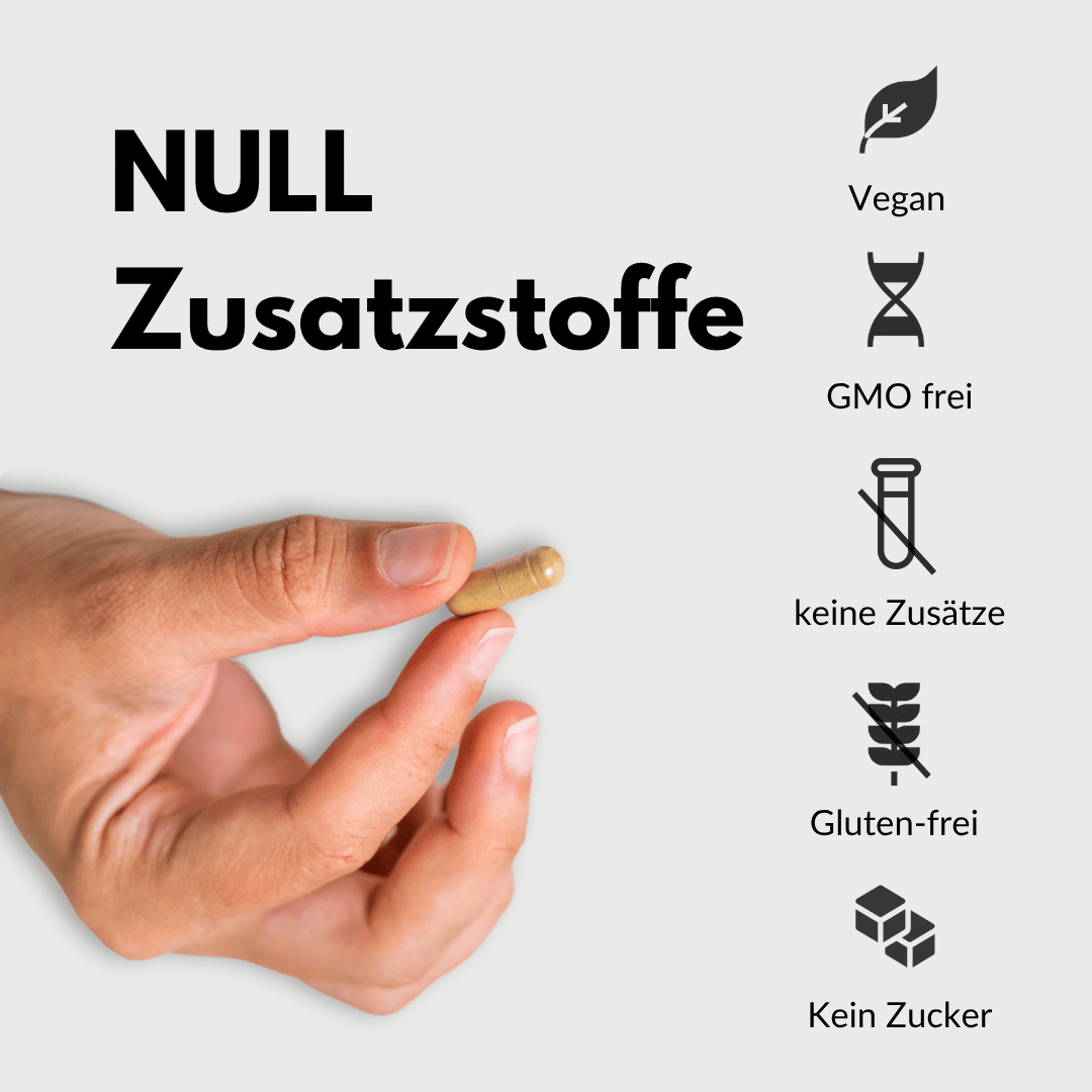 Hand hält Kurkuma Kapseln mit 440mg Kurkuma und 5mg Piperin, NULL Zusatzstoffe, vegan, glutenfrei