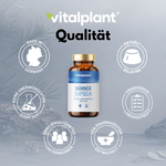 Vitalplant Männer Kapseln – Qualität, hochwertige Inhaltsstoffe und unabhängige Laborprüfung in Deutschland