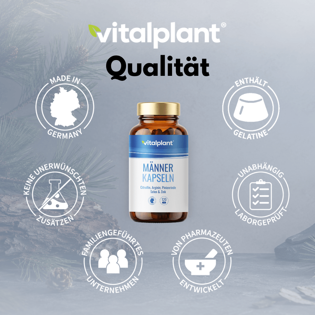 Vitalplant Männer Kapseln – Qualität, hochwertige Inhaltsstoffe und unabhängige Laborprüfung in Deutschland