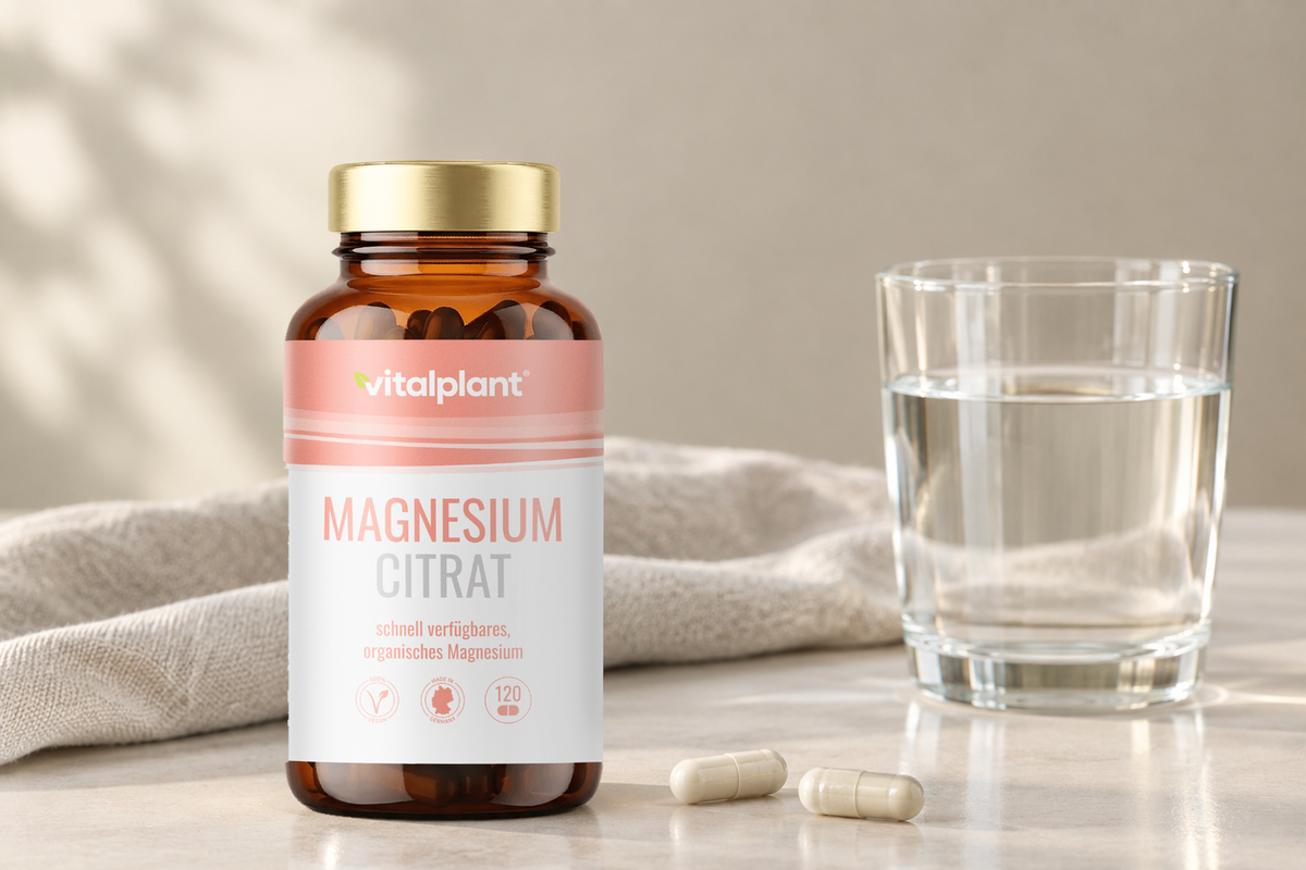 Magnesium Citrat Kapseln - 2 Kapseln, 246 mg Magnesium