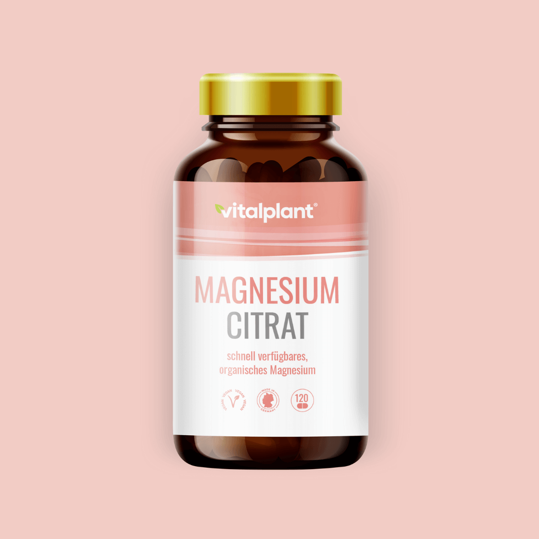 Magnesium Citrat Kapseln in Flasche mit 120 organischen Magnesiumkapseln für deinen Mineral-Boost.