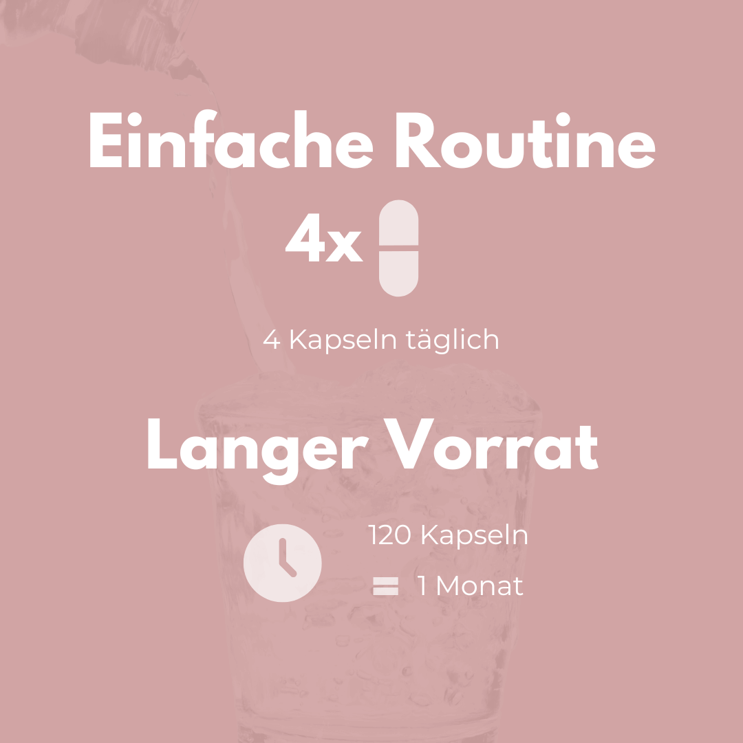 Magnesium Glycinat Kapseln – Einfache Routine mit 4 Kapseln täglich für einen Monat Vorrat.