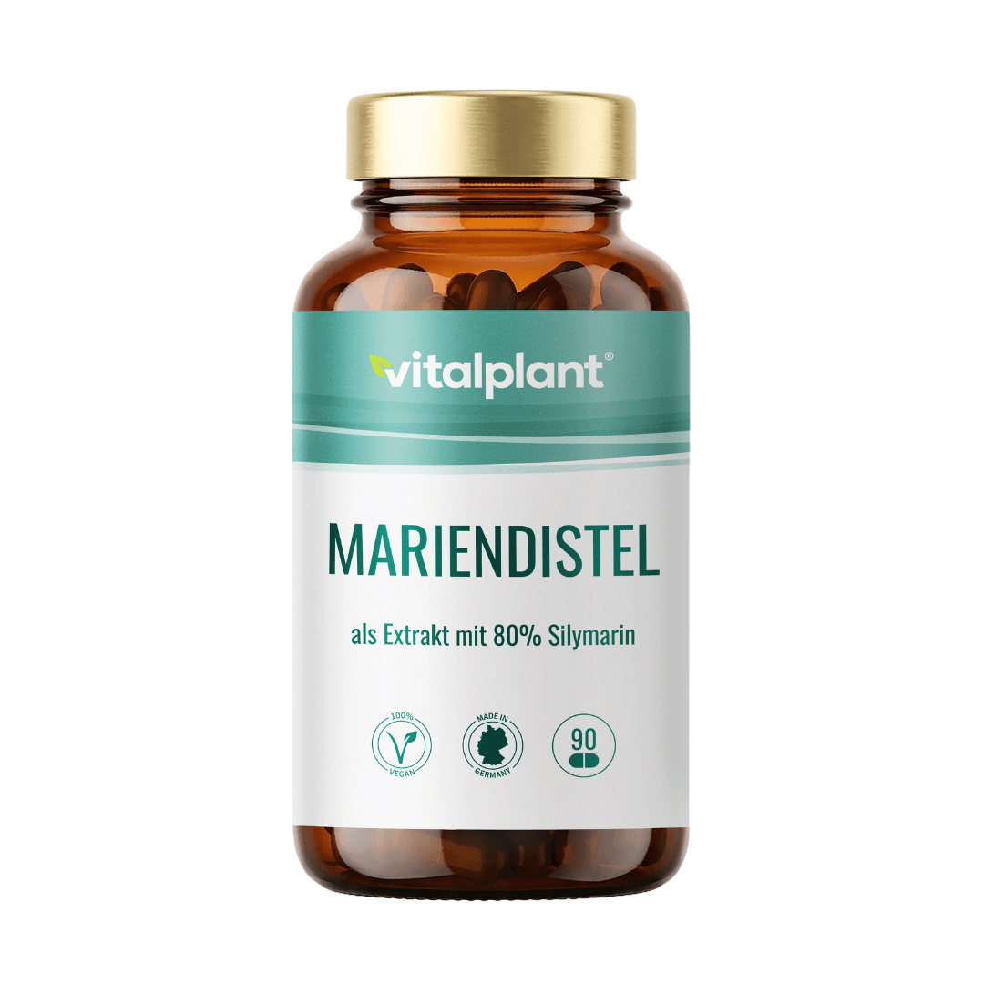 Mariendistel Kapseln in Glasflasche, enthält 80% Silymarin für dein Wohlbefinden.