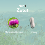 Milk thistle extract and capsules with 300 mg – milk thistle for your well-being