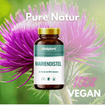 Mariendistel Kapseln von Vitalplant mit 80% Silymarin, 100% vegan, auf natürlichem Hintergrund.