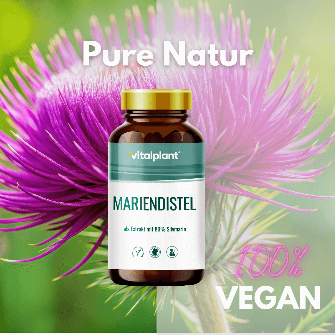 Mariendistel Kapseln von Vitalplant mit 80% Silymarin, 100% vegan, auf natürlichem Hintergrund.