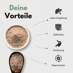 Mariendistel Komplex Kapseln Vorteile: Leber-Entgiftung, Zellschutz, Verdauung, Regeneration