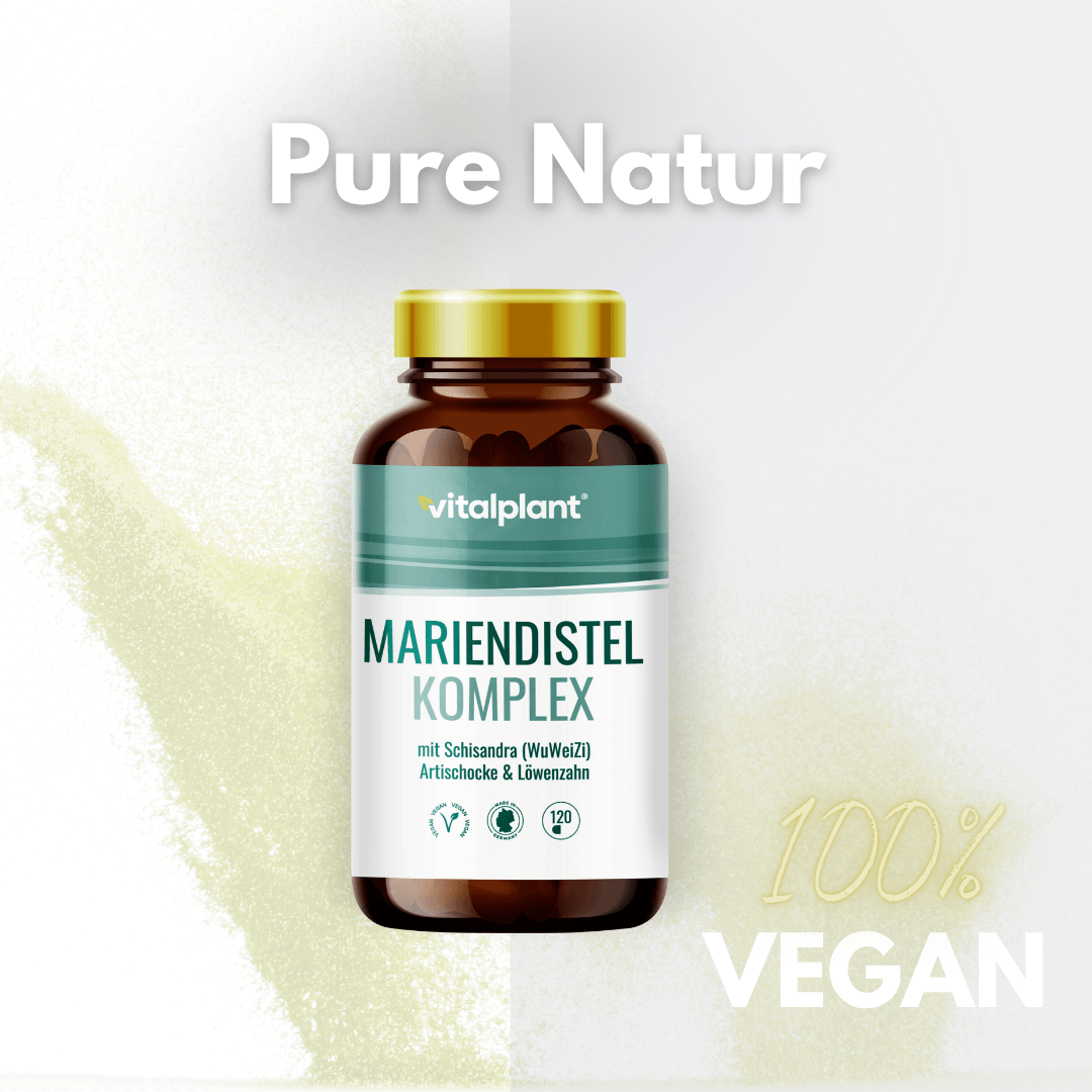 Mariendistel Komplex Kapseln von Vitalplant – 100% vegan mit Schisandra, Artischocke und Löwenzahn.