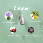 Mariendistel Complex capsules with ingredients such as milk thistle extract and dandelion extract.