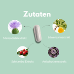 Mariendistel Komplex Kapseln Zutaten: Mariendistelextrakt, Löwenzahnextrakt, Schisandra Extrakt, Artischockenextrakt