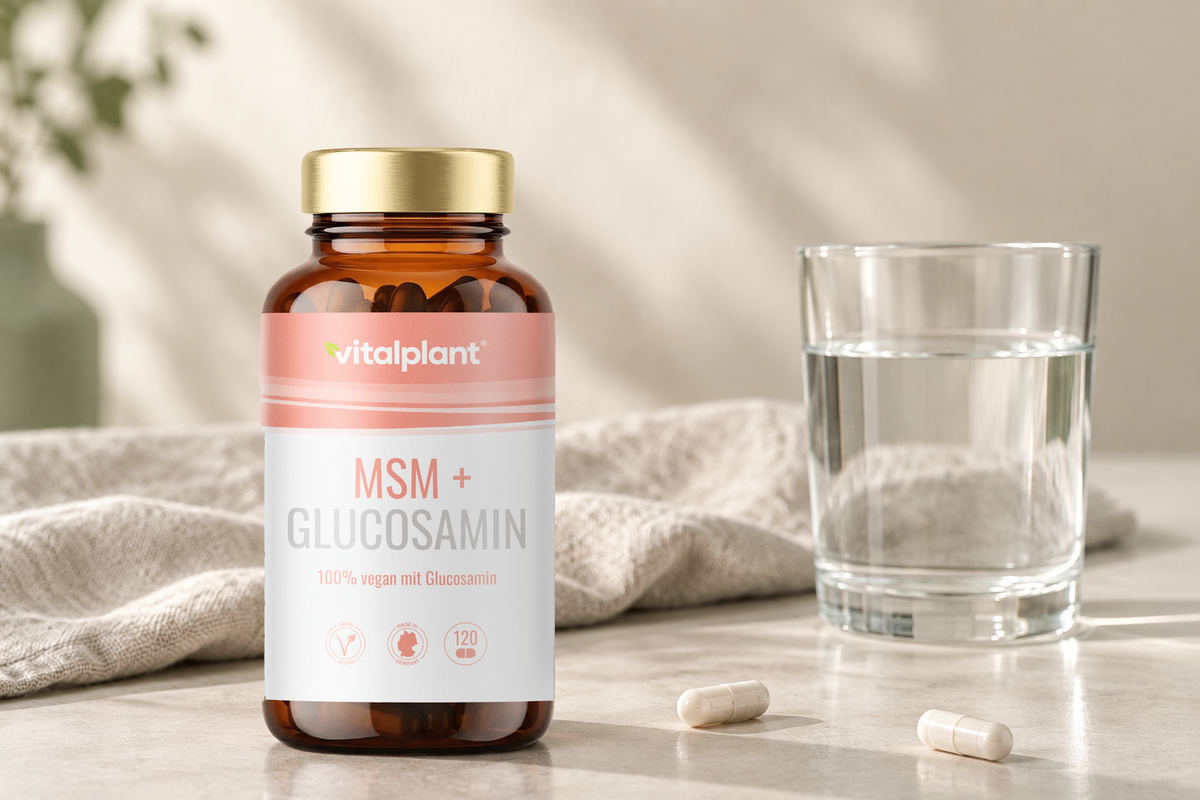 MSM & Glucosamin Kapseln - 2 bis 4 Kapseln täglich