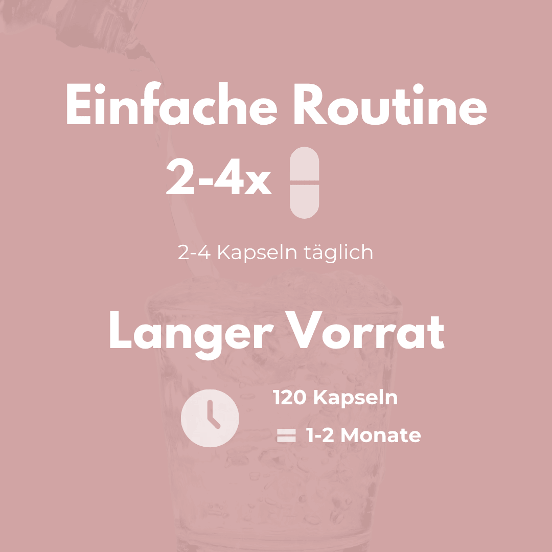 Einfacher Einnahmehinweis für MSM & Glucosamin: 2-4 Kapseln täglich für 1-2 Monate.